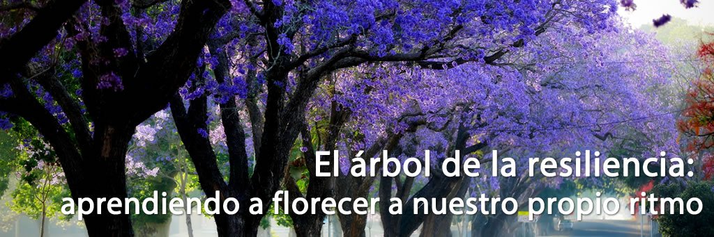 El árbol de la resiliencia: aprendiendo a florecer a nuestro propio ritmo